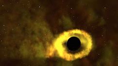 Envisioning black holes