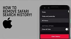 How To Remove Safari Search History On iPhone [easy]