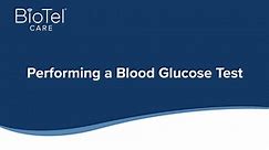 BioTel Care - Blood Glucose Monitoring System BGM 4