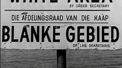 Apartheid - Racial Segregation of South Africa #history #shorts