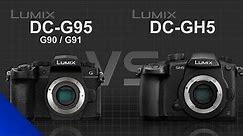 Panasonic Lumix DMC-G95 (G90) vs Panasonic Lumix DC-GH5