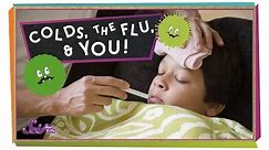 Colds, the Flu, and You
