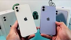 iPhone 11 Purple vs White Color Comparison