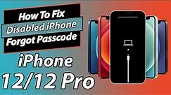 iPhone 12 disabled connect to iTunes | How to Fix disabled iPhone 12/ 12 pro forgot passcode
