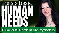 Our Six Basic Human Needs Explained / 6 Universal Needs in Life Psychology