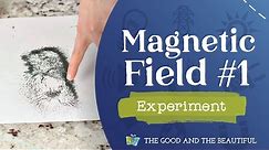 Magnetic Field Experiment #1 | Energy | The Good and the Beautiful