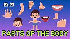 Parts of the Body in English | Human Body Parts Names