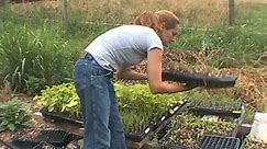 More Women Running US Farms