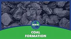 Coal Formation