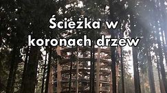 Ścieżka w koronach drzew Czechy Karkonosze Jańkie Łaźnie