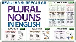 Plural Nouns in English - Regular & Irregular Plurals