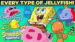 EVERY Type of Jellyfish in Bikini Bottom! ⚡️ | SpongeBob