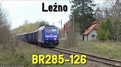 Przebudzenie wiosny na dawnej stacji Leźno i BR285-126 // Spring's awakening in Lezno and BR285-126