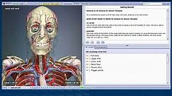 3D Anatomy for Massage & Manual Therapies