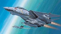 深度解析F－14雄猫战斗机