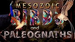 Mesozoic birds and Walking ones