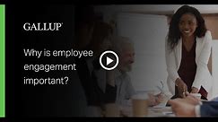 Why is Employee Engagement Important?