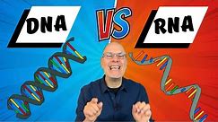DNA v RNA, full explanation for AP Bio Topics 1.5 -1.6 and 6.1