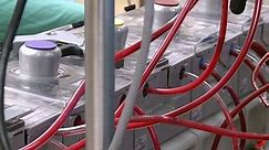 Tubes carry blood from a bypass machine