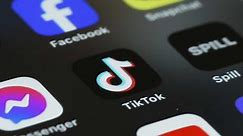 House once again votes for possible TikTok ban in the US