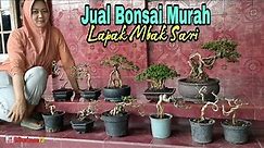 CEK HARGA BONSAI DIRUMAH MBAK SARI