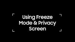Flip Interactive Display: How To Use Freeze Mode and Privacy Screen