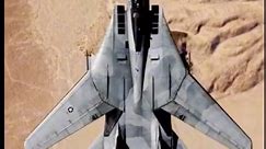 F-14雄猫式战斗机 可变后掠翼变形过程