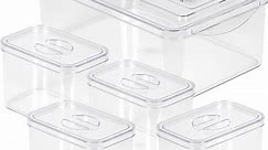 Richards Storage Bins with Lids Clear Plastic Containers & Organizer Bins, 1 Large 4 Small
