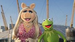 Who are the Muppets characters? Beaker, Gonzo, Kermit, Miss Piggy, Fozzie, Animal and the gang are back