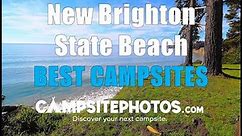 New Brighton State Beach Best Campsites