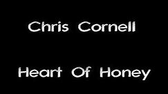 Chris Cornell - Heart Of Honey