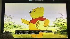 Opening to Winnie The Pooh Growing Up 1995 VHS