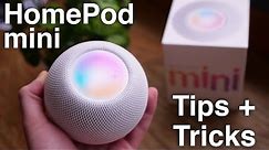 How to use HomePod mini + Tips/Tricks!