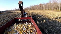 New Idea one row corn picker at work