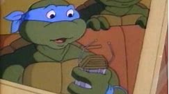 Teenage Mutant Ninja Turtles (TV Series 1987–1996)