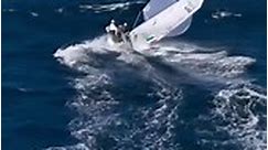 Sail, jump, swim, and repeat!... - 470 Olympic Sailing