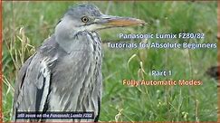Panasonic Lumix FZ80/82 For Absolute Beginners: Part 1 Using the Fully Automatic Modes.