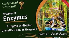Enzyme Inhibition | Classification of Enzymes | Chapter 2 | Sindh Board | Class 11 | Biology