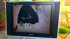 Sylvania 15" LCD TV Destruction