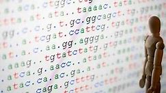 What Is DNA Sequencing? (Explained Simply) – Data Mining DNA