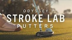 You've NEVER seen a PUTTER REVIEW like this | Odyssey Stroke Lab Putters