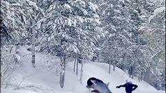 Moose rushes Idaho snowmobiler who jumps off just in time