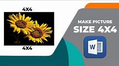How to make picture size 4x4 in Microsoft word