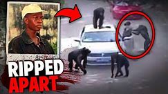 These DEADLY Escaped Chimps Ripped A Man to Pieces and ATE Him!