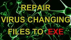 REPAIR - VIRUS changing files and folders to .EXE extension