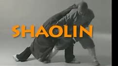 Shaolin Kung Fu: some fight techniques