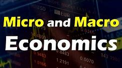 Micro and Macro Economics Explained - Concept and Key Differences
