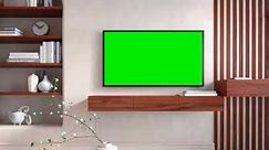 TV Screen Green Screen Background Video, Green Screen Effects, TV Green Screen Effect