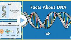 Facts About DNA PowerPoint