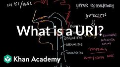 What is an upper respiratory infection (URI)? | NCLEX-RN | Khan Academy